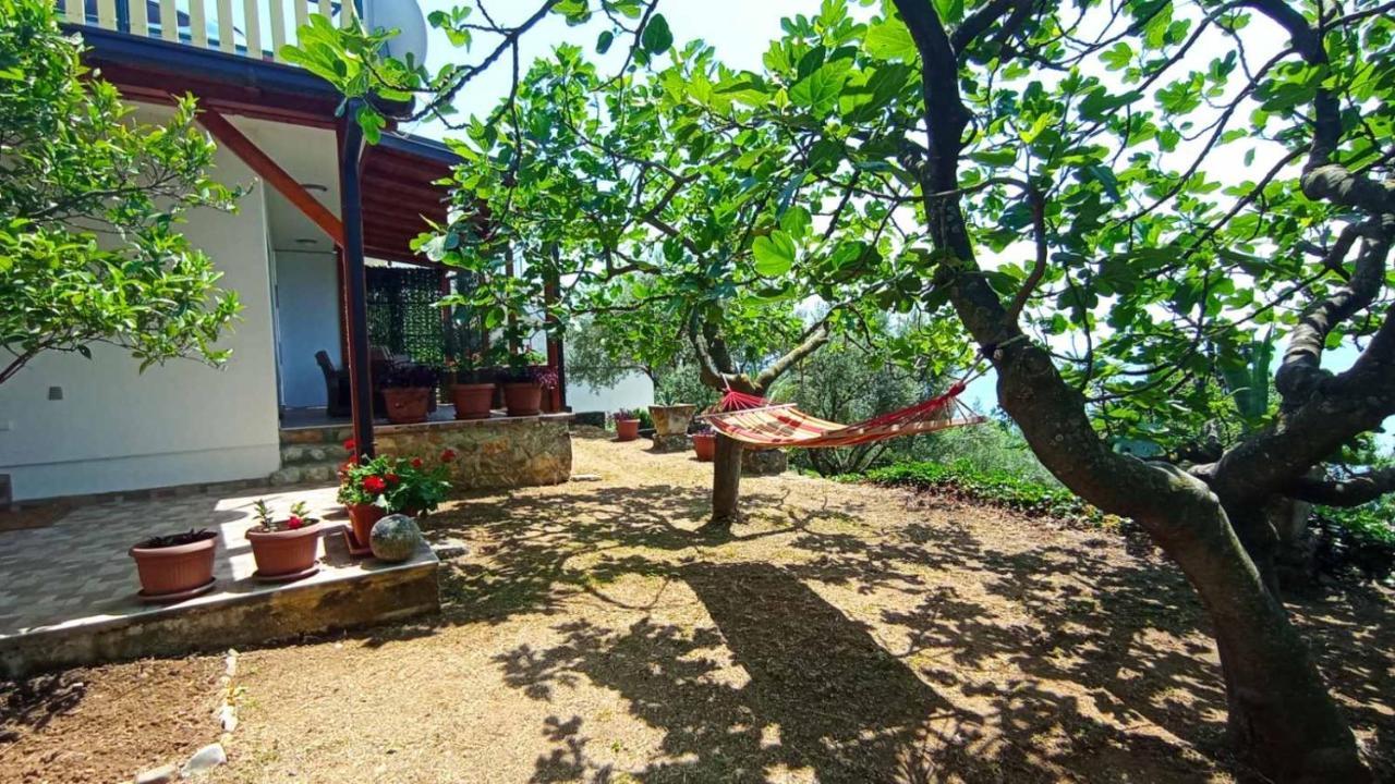 Apartment Ούλτσιν Εξωτερικό φωτογραφία