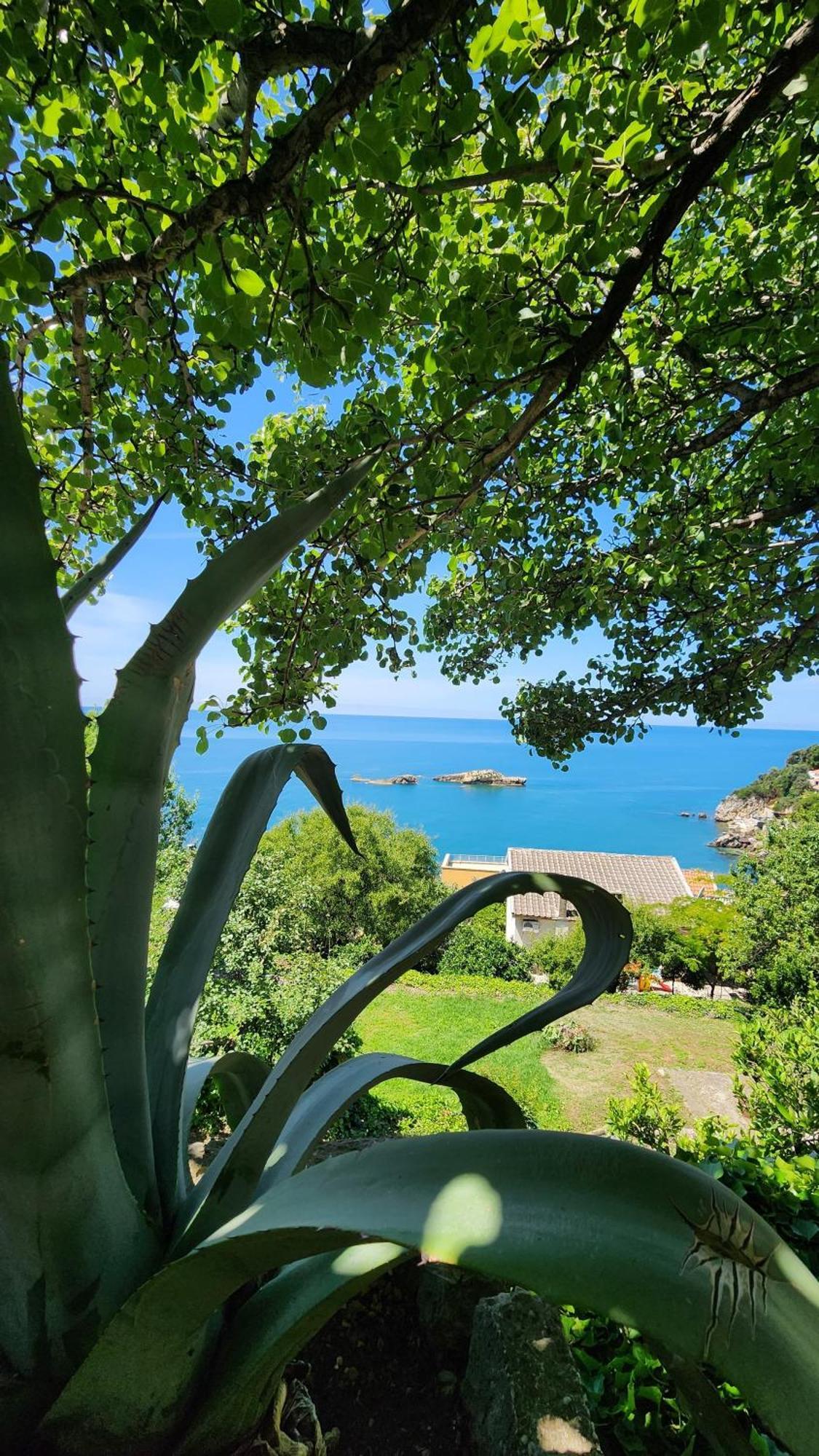 Apartment Ούλτσιν Εξωτερικό φωτογραφία