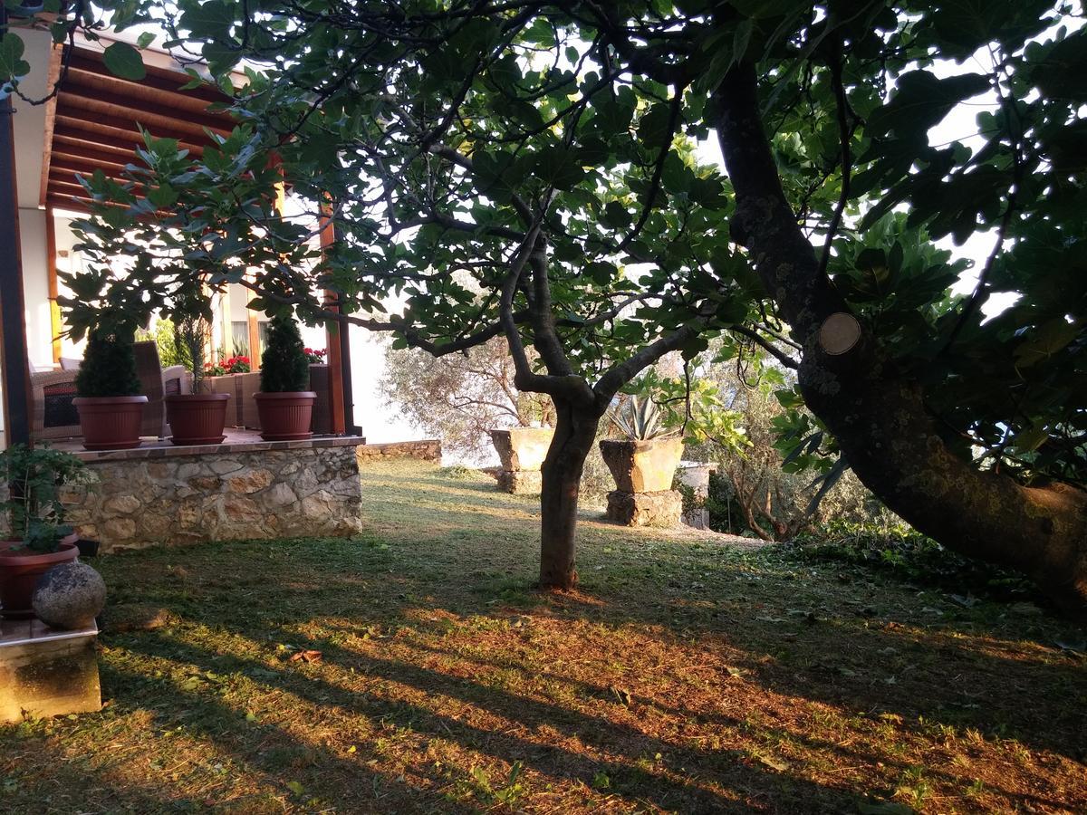 Apartment Ούλτσιν Εξωτερικό φωτογραφία